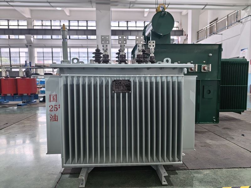 10kV/11kV Fully Sealed Oil Power Distribution Transformer price