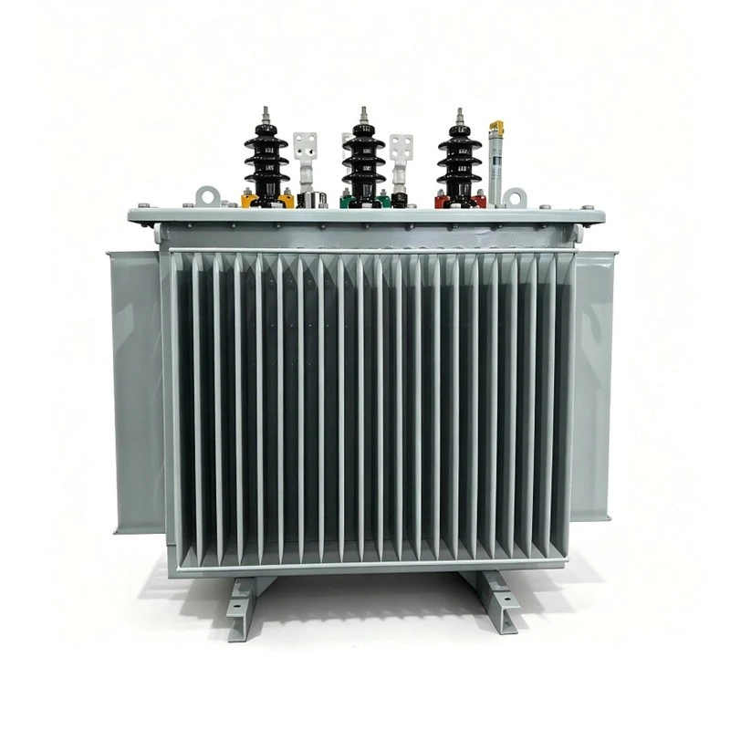10kV/11kV Fully Sealed Oil Power Distribution Transformer factory