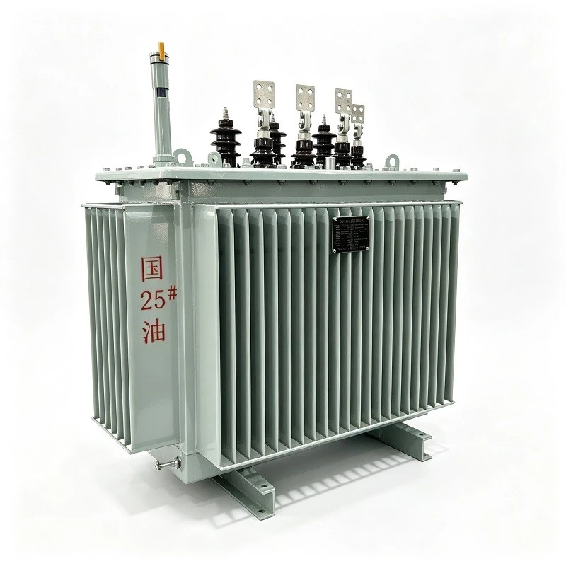 10kV/11kV Fully Sealed Oil Power Distribution Transformer best