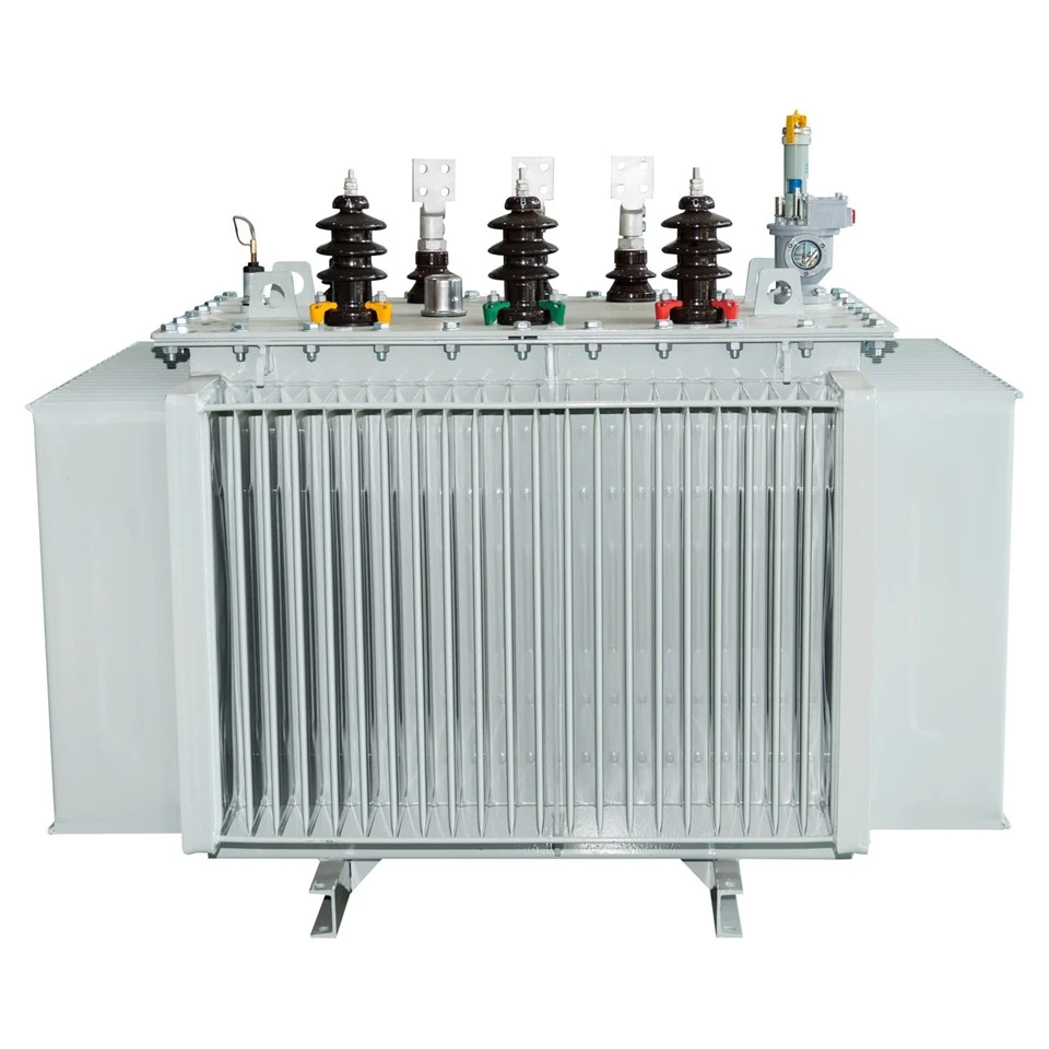 6kV/11kv Oil Immersed Power Transformer factory