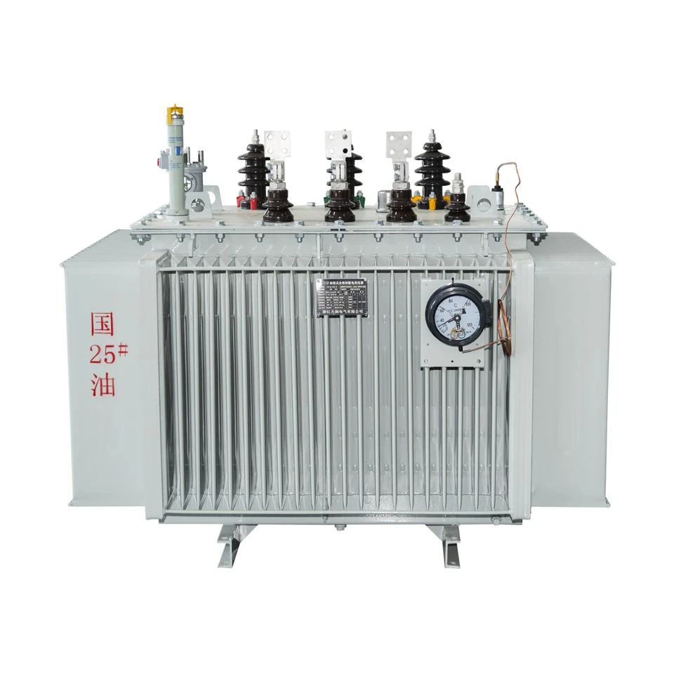 6kV/11kv Oil Immersed Power Transformer