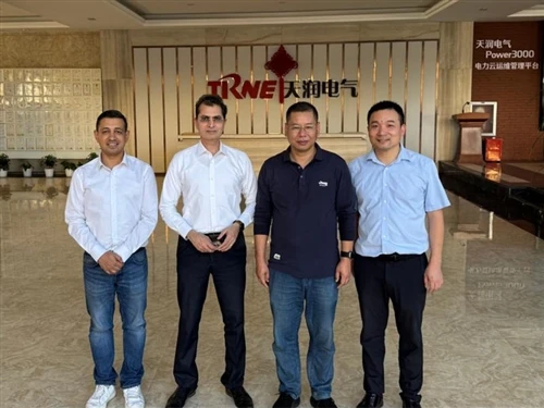 India Client Visit Tianrun Electric Factory -- Trne
