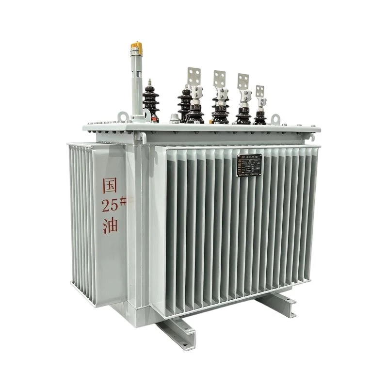 10kV/11kV Fully Sealed Oil Power Distribution Transformer suppliers